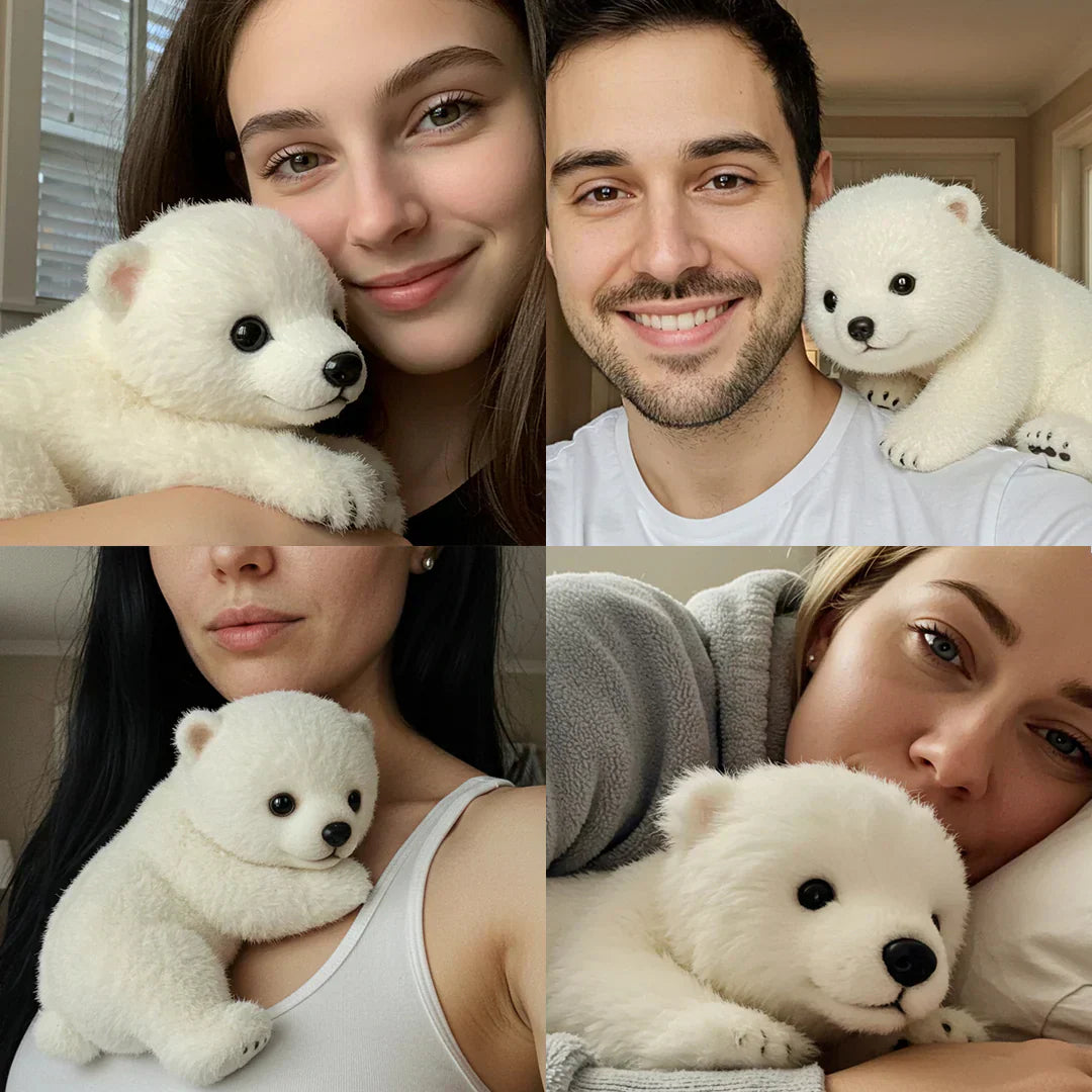🧸Pabubu – A Warm Hug to Comfort You Through the Quiet Nights