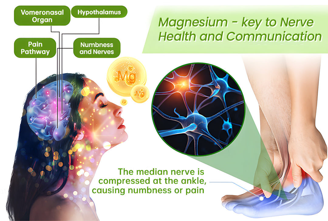 đNEGUSY⢠Magnesium & Peppermint Arthritis & Bone Healing Cream â Fast Pain Relief & Joint Support