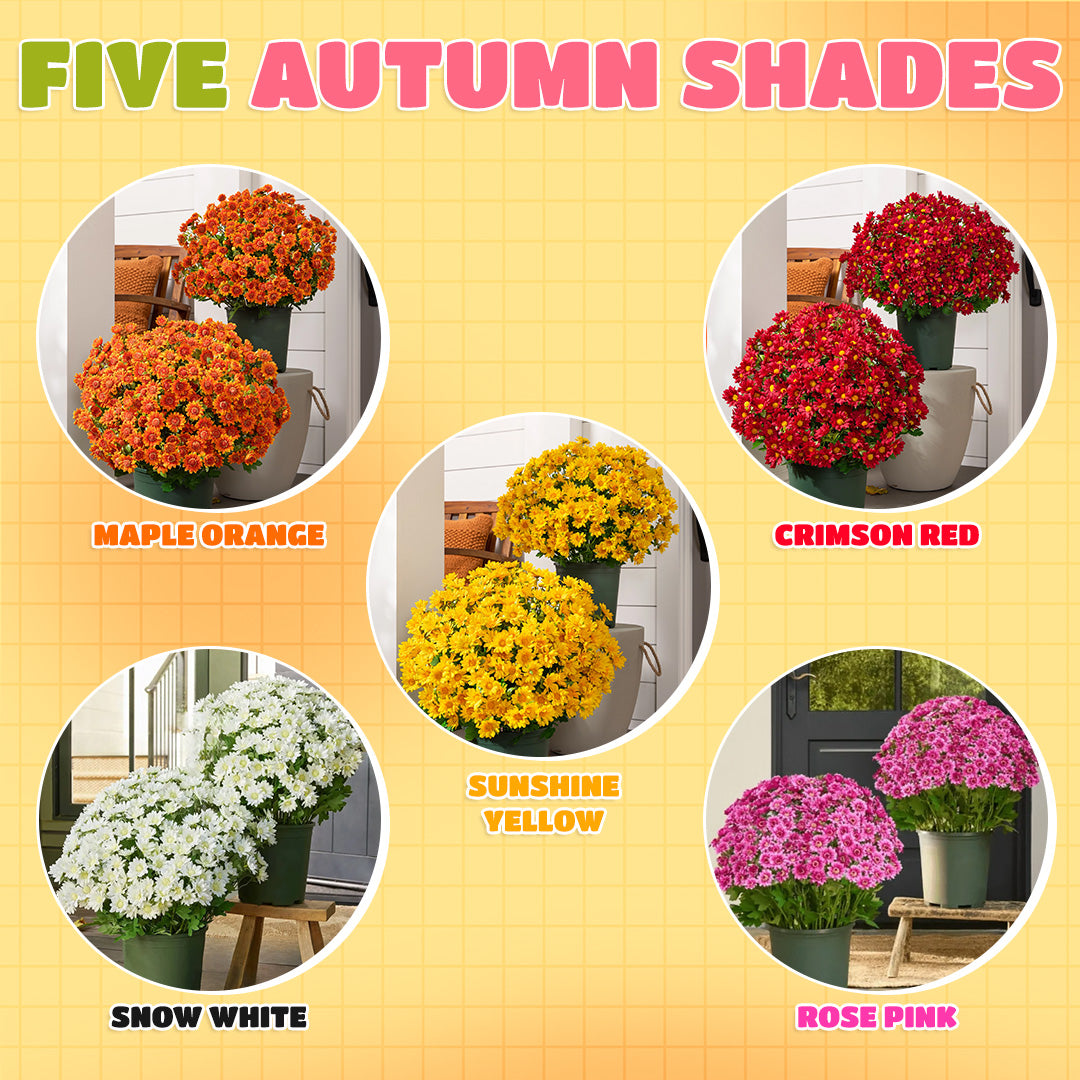 π Flash Sale β‘ Artificial Outdoor Sunset Mums Flowers π»- UV resistant, Waterproof, Windproof π§