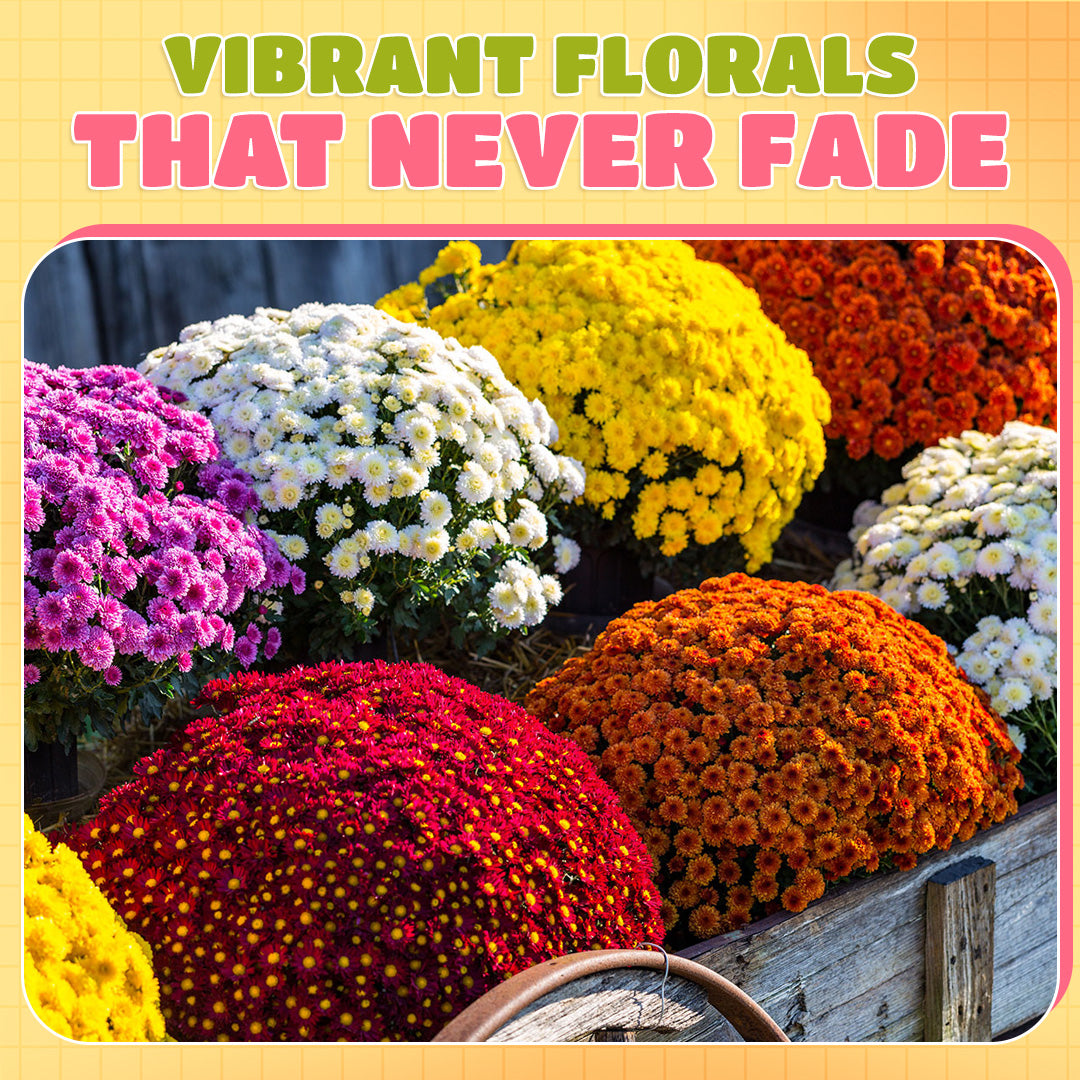 π Flash Sale β‘ Artificial Outdoor Sunset Mums Flowers π»- UV resistant, Waterproof, Windproof π§