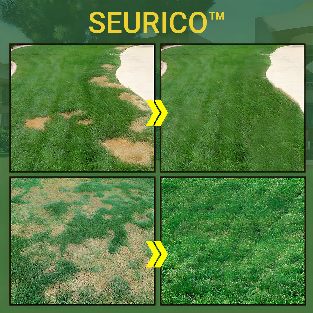 ๐ Hot Sale Lawn Spray System! Eco-Friendly, Fast-Growing Solution for a Perfect Lawn ๐ฑ๐ฟ