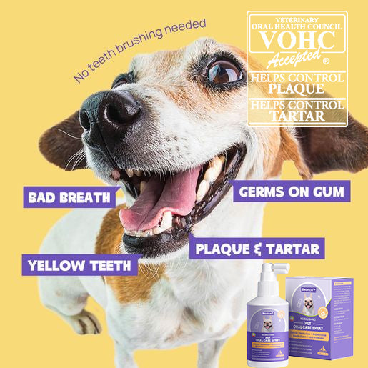 🔥Seurico™ Teeth Cleaning Spray with Oral Probiotics for Dogs & Cats
