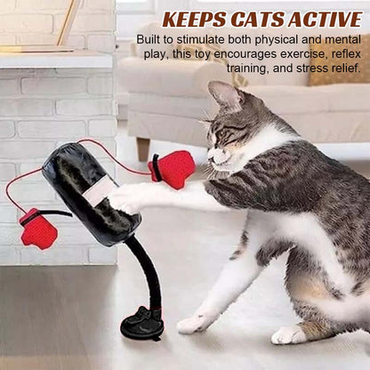 🐾Cat Boxing Toys🐾