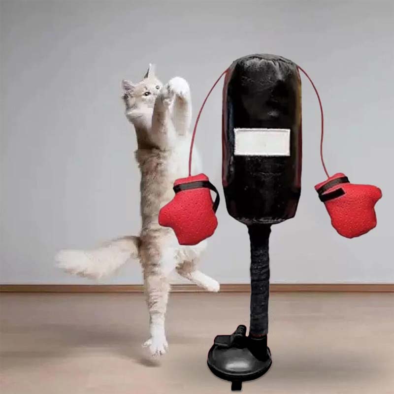🐾Cat Boxing Toys🐾