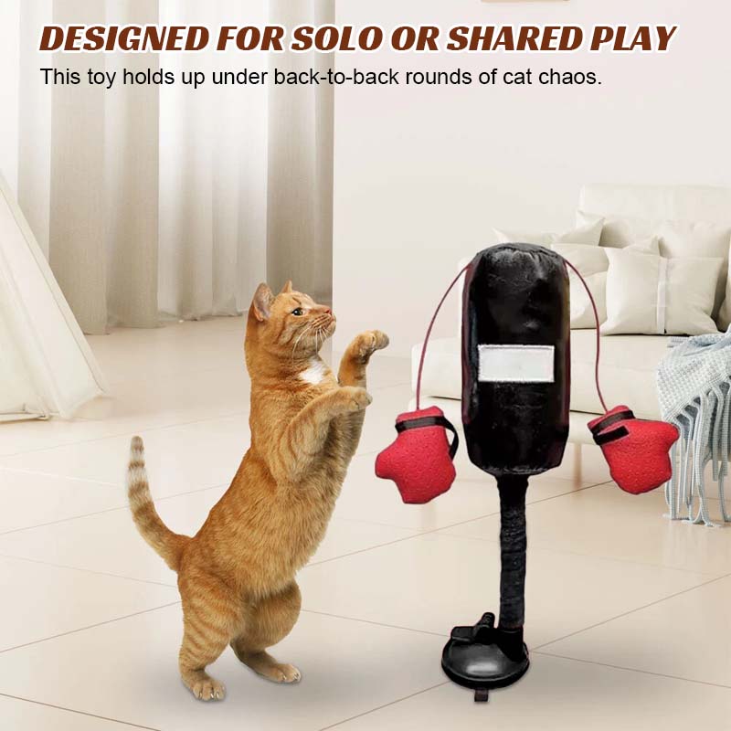 🐾Cat Boxing Toys🐾