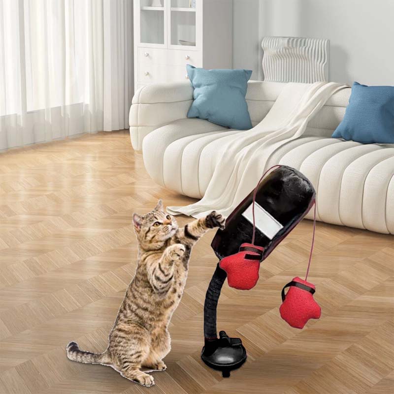 🐾Cat Boxing Toys🐾